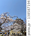 春の青空に映える満開の桜 138587194