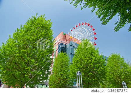 港北ニュータウン・センター北駅前のイチョウの新緑と観覧車 138587872