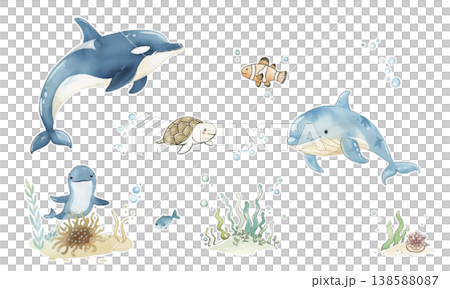 Sea creature set illustration 138588087