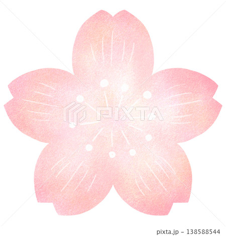 桜の花 138588544