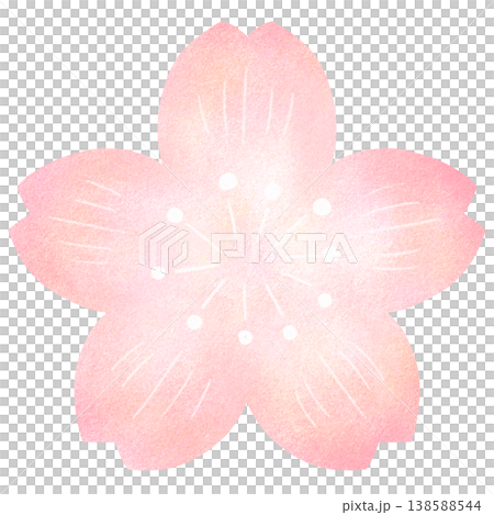 桜の花 138588544