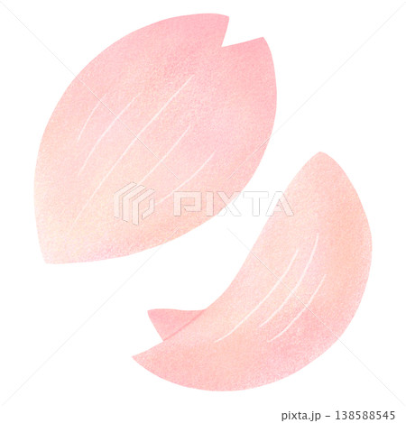 桜の花びら 138588545