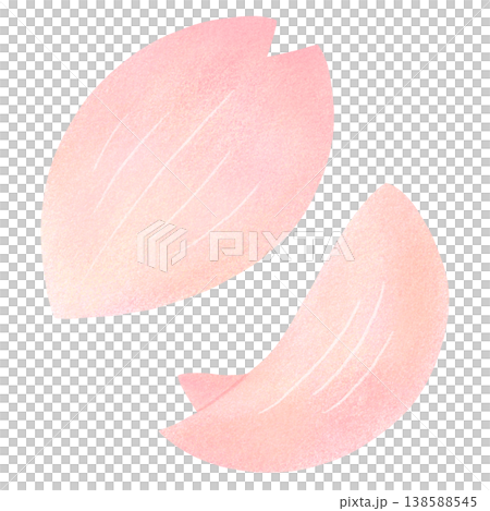 桜の花びら 138588545