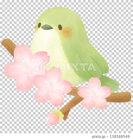 桜とウグイス 桜とウグイス 138588549