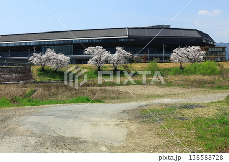 サンガスタジアムと桜 サンガスタジアムと桜 138588728