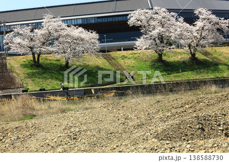 保津川下り乗船場の桜 保津川下り乗船場の桜 138588730