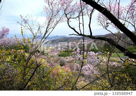 花見山公園から俯瞰した福島市内 138588947