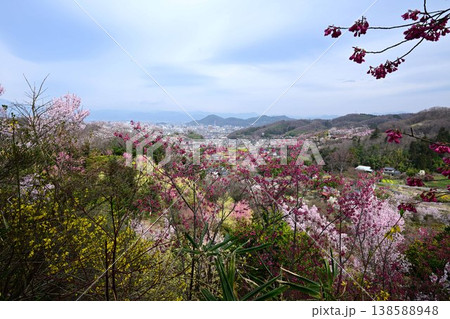 花見山公園から俯瞰した福島市内 花見山公園から俯瞰した福島市内 138588948
