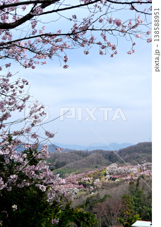 花見山公園から俯瞰した福島市内 花見山公園から俯瞰した福島市内 138588951