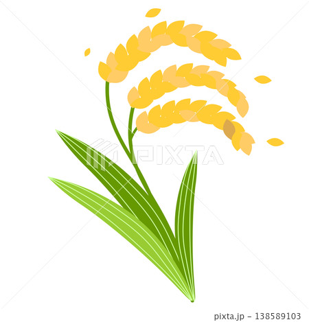 お米の収穫、稲穂のイラスト お米の収穫、稲穂のイラスト 138589103