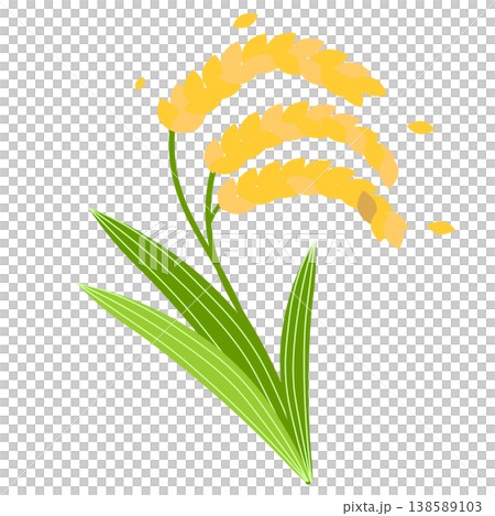 お米の収穫、稲穂のイラスト お米の収穫、稲穂のイラスト 138589103