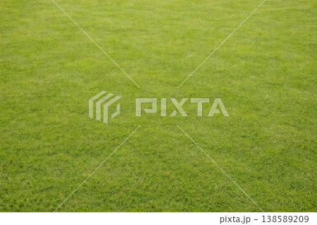 きれいな芝生 138589209