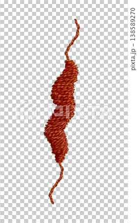 [Campylobacter bacteria] Hand embroidery illustration material 138589270