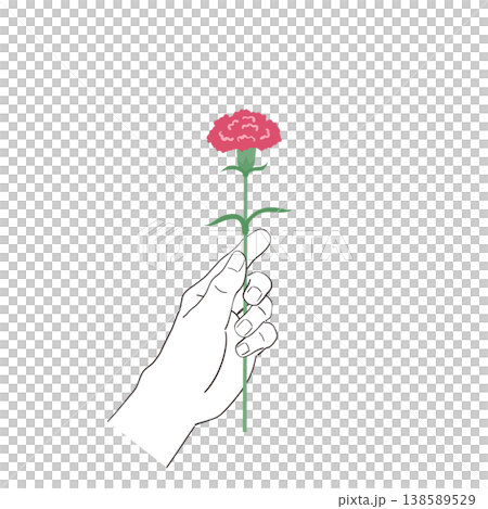 A hand handing over a carnation; Mother's Day; A man's hand; A token of gratitude. 138589529