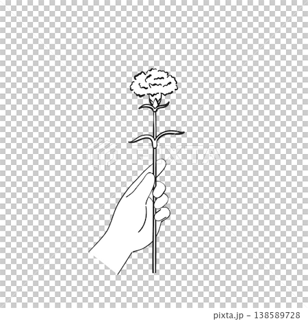 Hands handing out carnations, Mother's Day, line drawing illustration, child's hands Hands handing out carnations, Mother's Day, line drawing illustration, child's hands 138589728