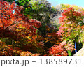 紅葉　秩父華厳の滝　（ 埼玉県 ） 138589731