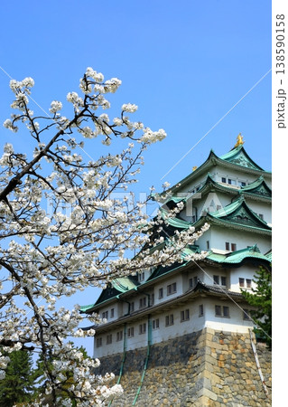 特別史跡名古屋城　満開の桜 138590158