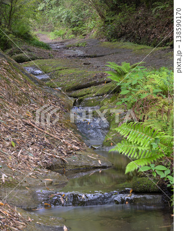 鎌倉・朝比奈（朝夷奈）切通し旧道と小川　新緑に包まれた歴史の山道風景 138590170