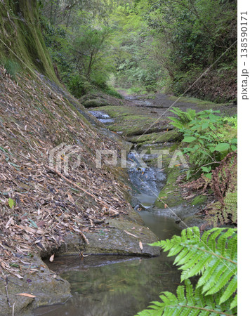 鎌倉・朝比奈(朝夷奈)切通し旧道と小川 新緑に包まれた歴史の山道風景 鎌倉・朝比奈(朝夷奈)切通し旧道と小川 新緑に包まれた歴史の山道風景 138590171