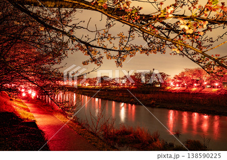 ライトアップされた夜桜と橋 138590225