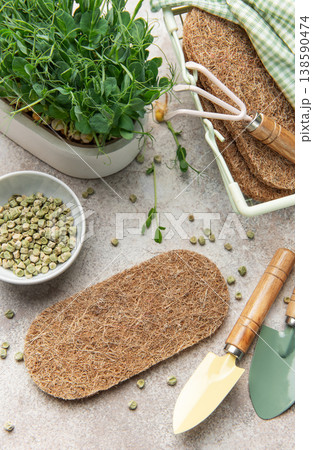 Microgreens, seeds, and gardening tools for sustainable home growing Microgreens, seeds, and gardening tools for sustainable home growing 138590474