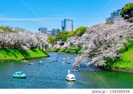 東京都 千鳥ヶ淵 ボート場 満開の桜 令和8年 東京都 千鳥ヶ淵 ボート場 満開の桜 令和8年 138590548