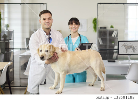 Veterinarian and nurse team examining labrador dog during checkup in modern clinic 138591198