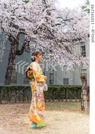 満開の桜と振袖,着物姿の二十歳の女性 138591249