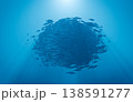 Sardine Bait Ball Sphere God Rays Underwater Ocean, 3D Render background 138591277