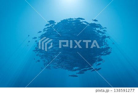 Sardine Bait Ball Sphere God Rays Underwater Ocean, 3D Render background 138591277