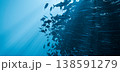 Sardine School Bait Ball Underwater Blue Ocean Fish Swarm, 3D Render  138591279