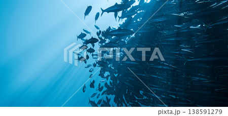 Sardine School Bait Ball Underwater Blue Ocean Fish Swarm, 3D Render  138591279