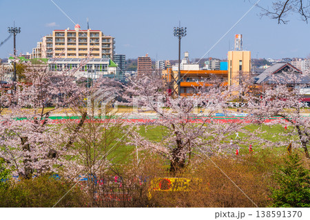 八王子市　桜祭り　富士森公園　東京フットボールセンター 138591370