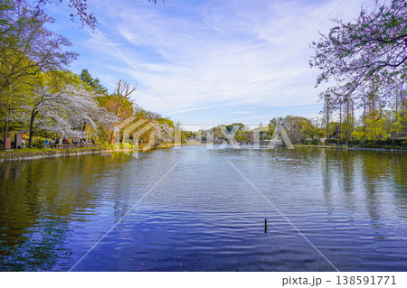 井の頭公園 井の頭公園 138591771