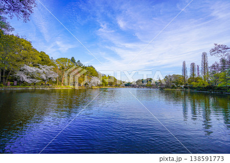 井の頭公園 井の頭公園 138591773