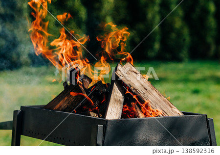 Birch logs burning in a grill on spring holiday, green grass, festive season 138592316
