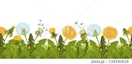 Dandelions seamless border. Summer flowers frame, fluffy yellow plants, horizontal background, floral design, summer or spring meadow plants decorative floral elements splendid vector concept Dandelions seamless border. Summer flowers frame, fluffy yellow plants, horizontal background, floral design, summer or spring meadow plants decorative floral elements splendid vector concept 138592626