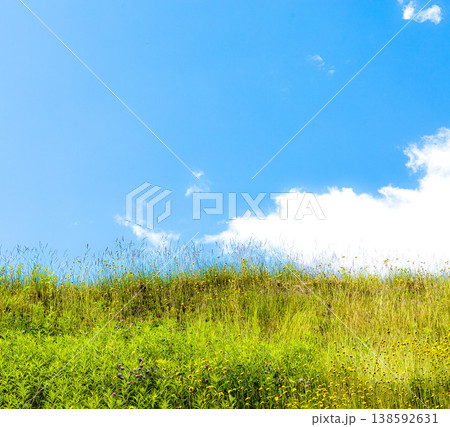 夏の北海道の爽やかな青空と白い雲とシンプルなイメージ風景 夏の北海道の爽やかな青空と白い雲とシンプルなイメージ風景 138592631