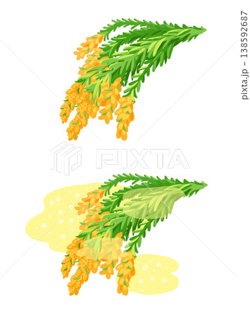 花粉を飛ばすスギのイラスト 花粉を飛ばすスギのイラスト 138592687