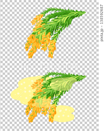 花粉を飛ばすスギのイラスト 花粉を飛ばすスギのイラスト 138592687