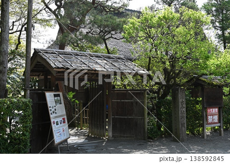 春の水前寺公園 春の水前寺公園 138592845