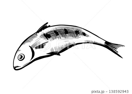 Sardine fish in minimalist black and white vector line art. Mediterranean seafood for healthy diet menu, canned food packaging, organic marine product label, and commercial fishing graphics 138592943