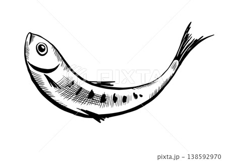 Sardine fish in minimalist black and white vector line art. Mediterranean seafood for healthy diet menu, canned food packaging, organic marine product label, and commercial fishing graphics Sardine fish in minimalist black and white vector line art. Mediterranean seafood for healthy diet menu, canned food packaging, organic marine product label, and commercial fishing graphics 138592970