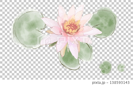 用水彩畫的蓮花插圖 138593143