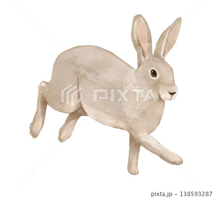 Watercolor running hare. Isolated clipart featuring woodland animal. Hand drawn illustration Watercolor running hare. Isolated clipart featuring woodland animal. Hand drawn illustration 138593287