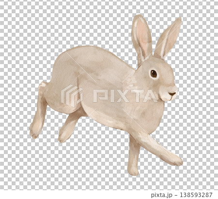 Watercolor running hare. Isolated clipart featuring woodland animal. Hand drawn illustration Watercolor running hare. Isolated clipart featuring woodland animal. Hand drawn illustration 138593287