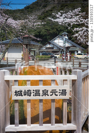桜が満開の兵庫県豊岡市城崎温泉の元湯 138593317