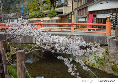 兵庫県豊岡市城崎温泉の大たに川沿いに咲く満開の桜 兵庫県豊岡市城崎温泉の大たに川沿いに咲く満開の桜 138593352