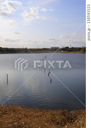 夕暮れ時の河口干潟 浅瀬に刺さった木の杭 138593523