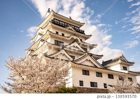 桜に彩られた福山城天守閣 桜に彩られた福山城天守閣 138593570